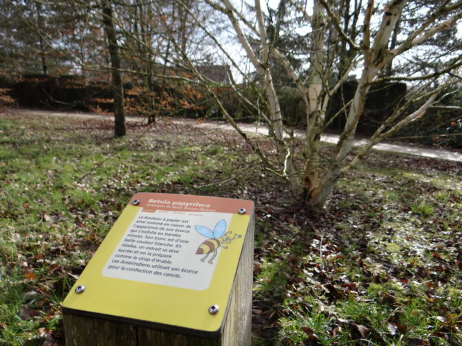 Connaissez Vous L Arboretum De Cergy Pontoise Nature En Ville