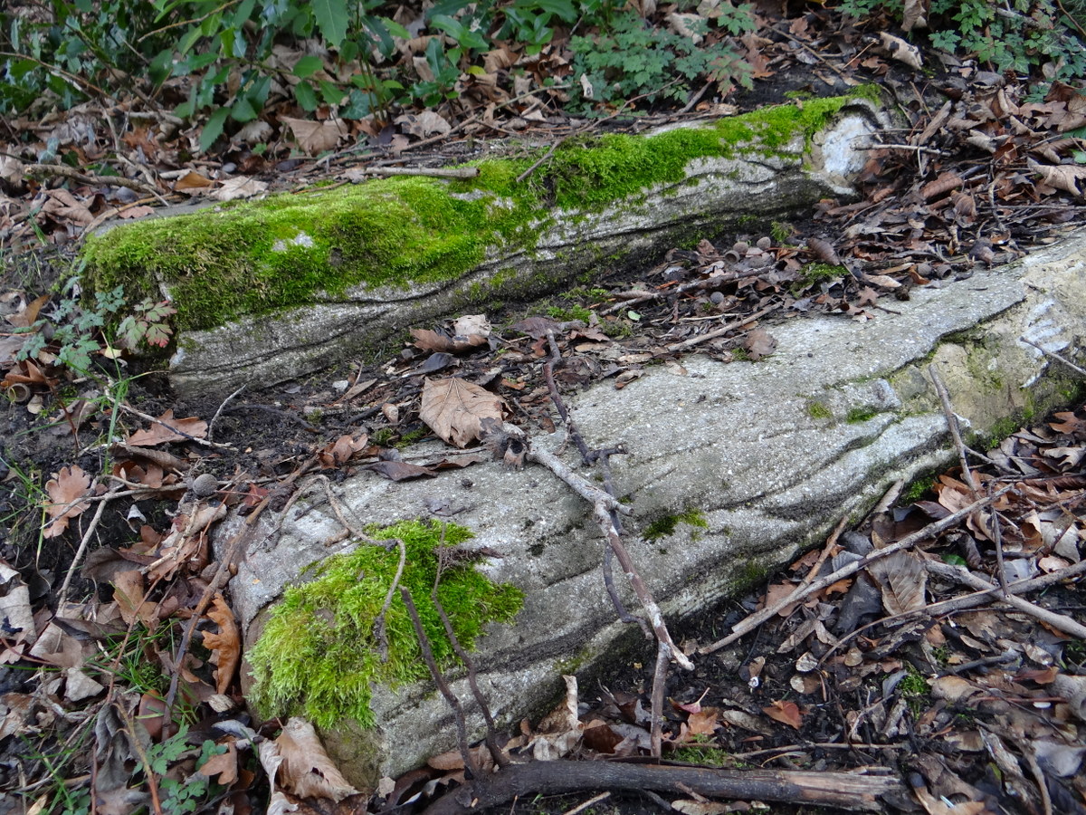 le rocaillage est une technique de façonnage du béton en imitation de branches