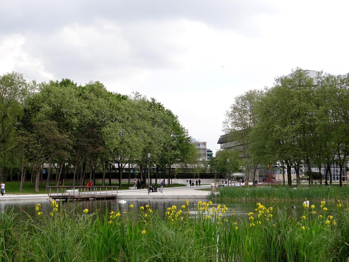 Le bassin et les ombrages du parc François-Mitterrand à  Cergy © Gilles Carcassès