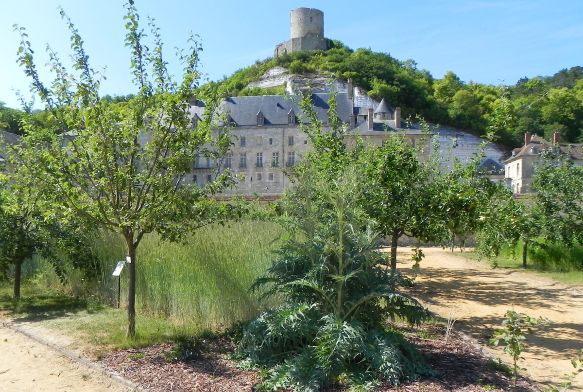 Le potager verger du château de La Roche-Guyon © Gilles Carcassès