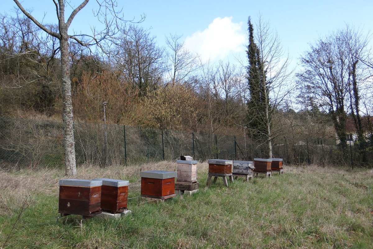 Le rucher de l'arboretum de Cergy-Pontoise © Gilles Carcassès