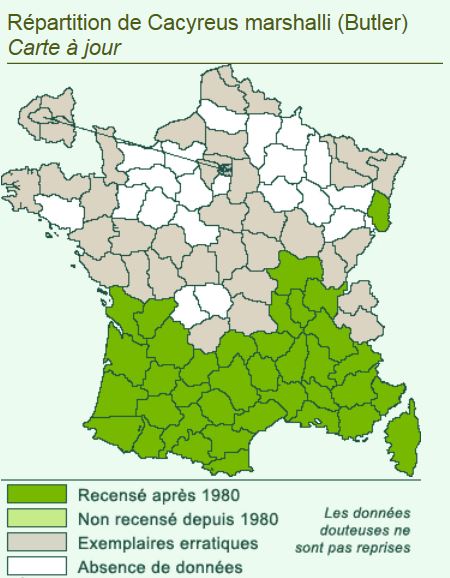 Carte de présence du brun du pélargonium - source www.lepinet.fr