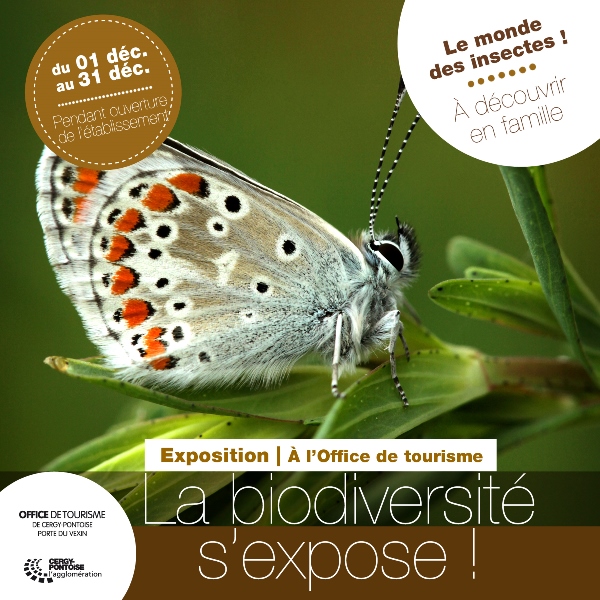 expo_biodiversité