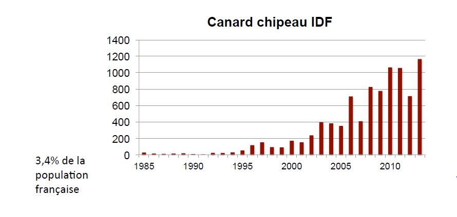 Evolution des populations hivernantes de canards chipeaux en Ile-de-France (MNHN)