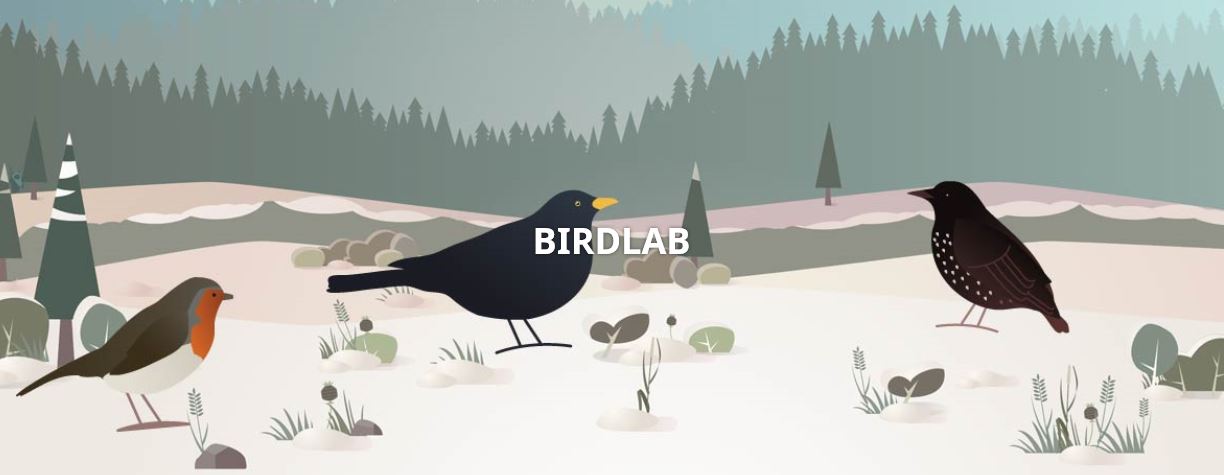 birdlab