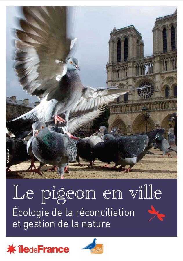 le-pigeon-en-ville